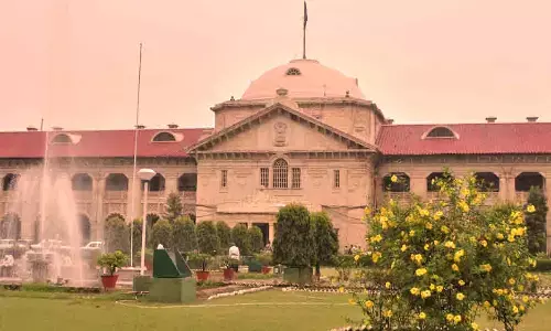 Allahabad HC Dismisses Plea Seeking Killing Of Birds & Animals Causing Nuisance Allahabad HC Dismisses Plea Seeking Killing Of Birds & Animals Causing Nuisance