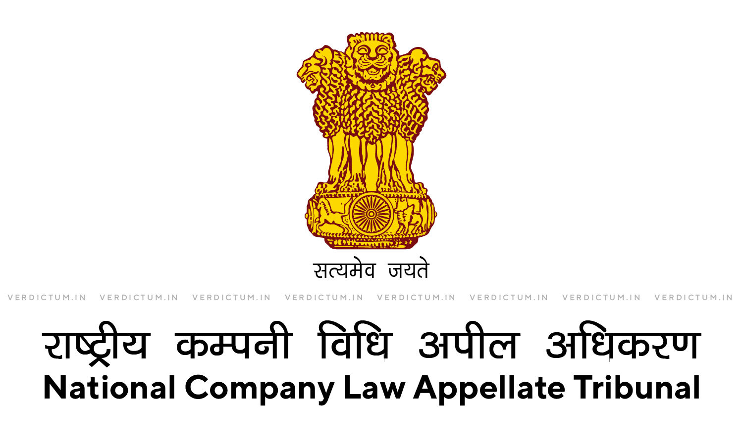 In The Absence Of Report From Resolution Professional, Findings