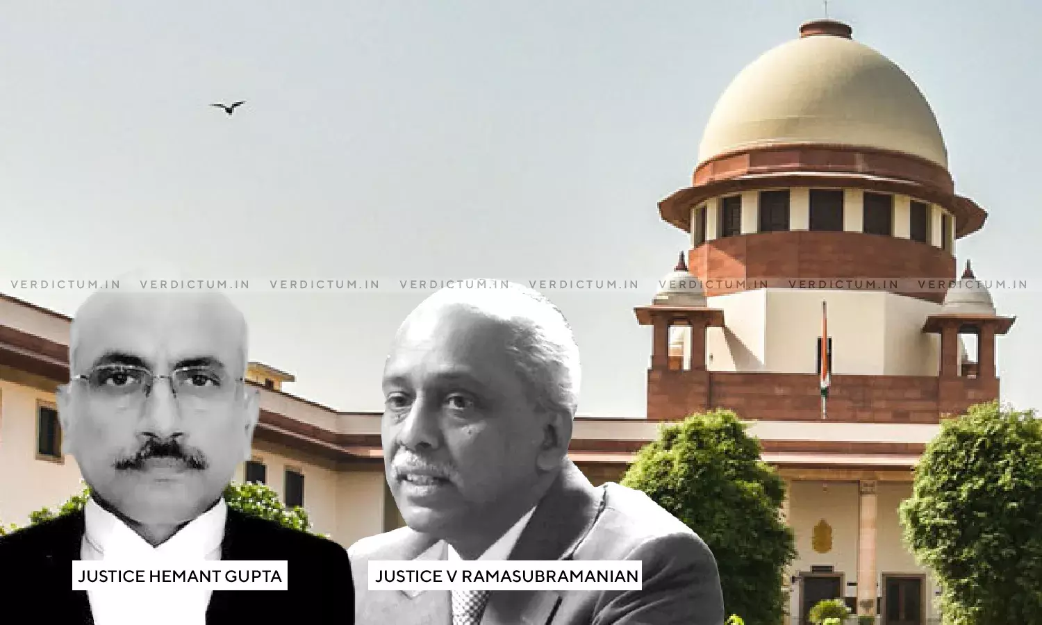 Courts Lack Expertise To Examine Economic Activities Of State, Should Refrain From Interfering In Technical Issues – SC Courts Lack Expertise To Examine Economic Activities Of State, Should Refrain From Interfering In Technical Issues – SC
