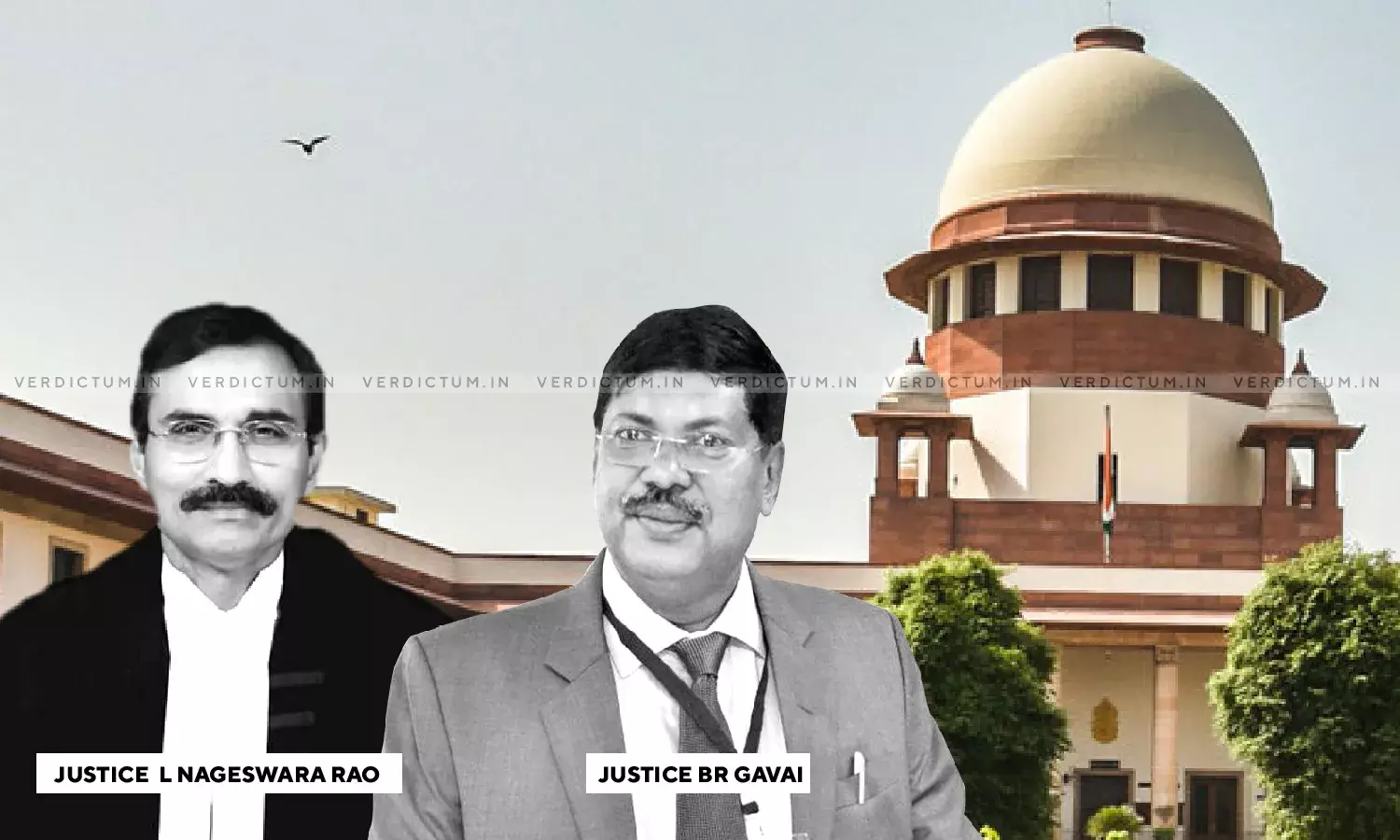 Mushrooming Of Illegal Colonies Across Country Is A Menace To Urban Development: Supreme Court Mushrooming Of Illegal Colonies Across Country Is A Menace To Urban Development: Supreme Court