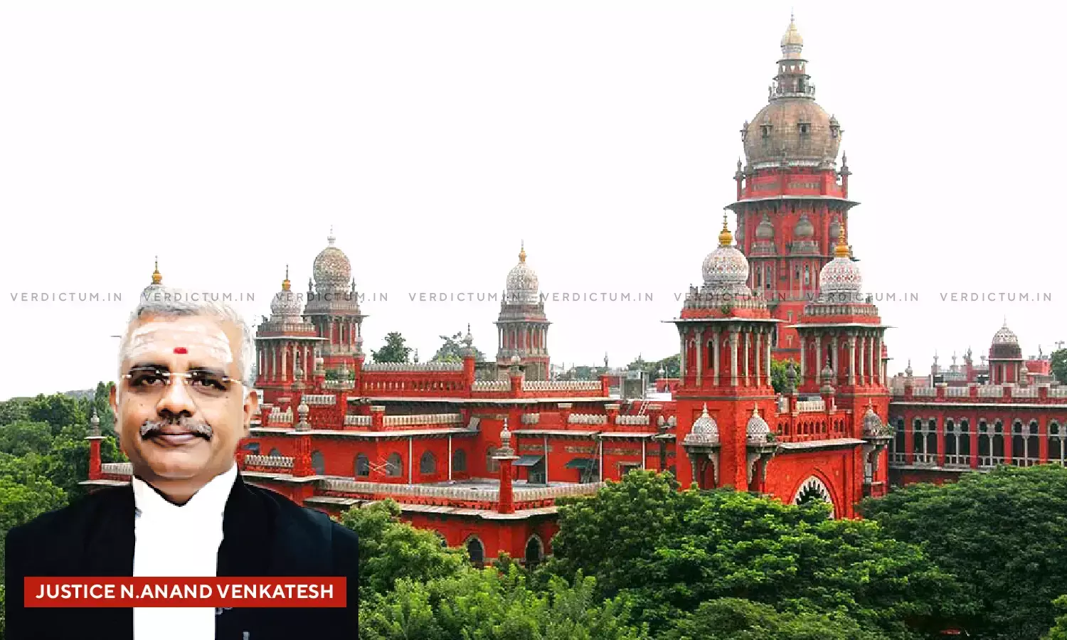 Justice N. Anand Venkatesh, Madras High Court Justice N. Anand Venkatesh, Madras High Court