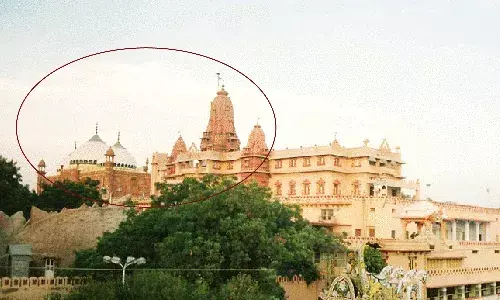 Allahabad HC Permits Representative Suit On Behalf Of Lord Shri Krishna Devotees Against Entire Muslim Community Of India In Mathura Krishna Janambhoomi Matter Allahabad HC Permits Representative Suit On Behalf Of Lord Shri Krishna Devotees Against Entire Muslim Community Of India In Mathura Krishna Janambhoomi Matter