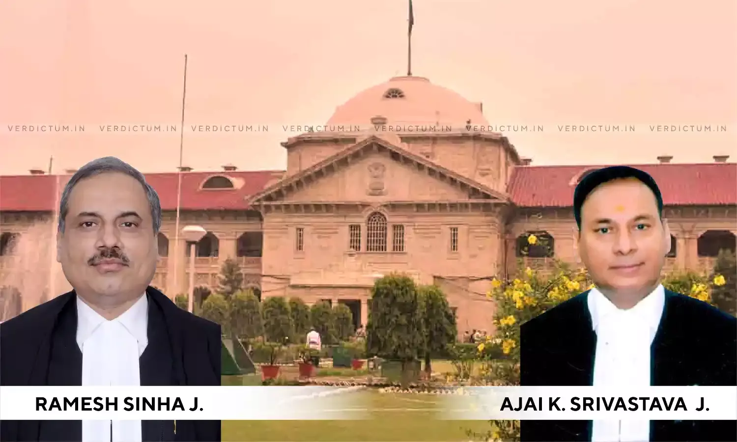 Prima Facie Offences Made Out: Allahabad HC Dismisses Mohammed Zubairs Plea To Quash FIR For Hate Remarks Prima Facie Offences Made Out: Allahabad HC Dismisses Mohammed Zubairs Plea To Quash FIR For Hate Remarks