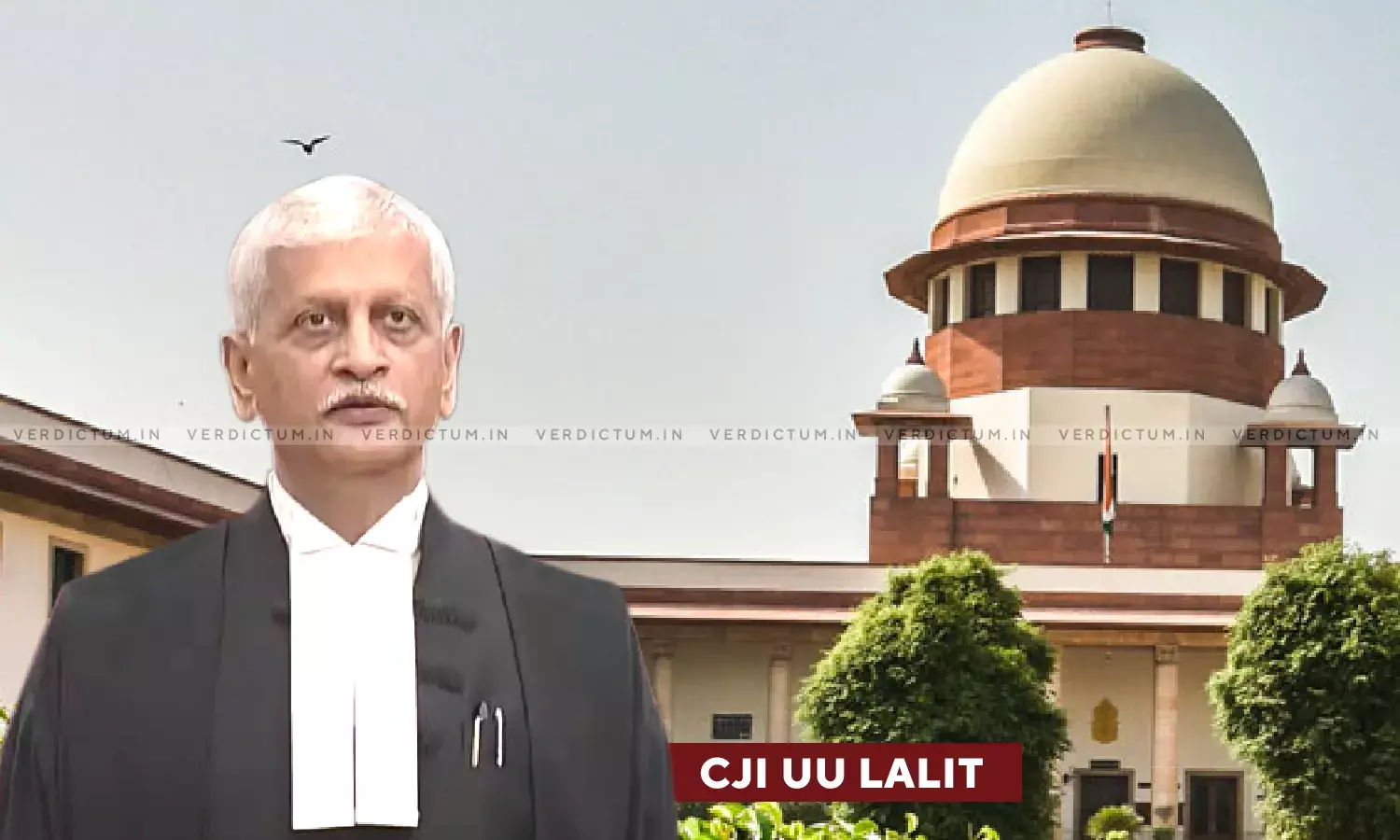 Enjoyed Journey Of 37 Years In Supreme Court: CJI U U Lalit Enjoyed Journey Of 37 Years In Supreme Court: CJI U U Lalit