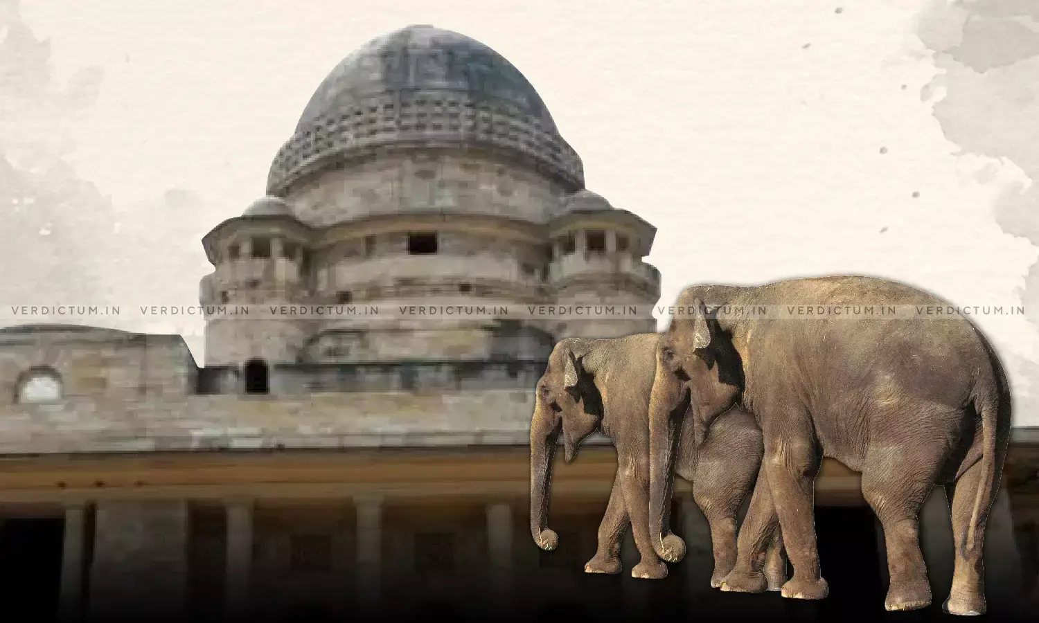 Would Result In Harming Biodiversity - Bombay HC Takes Suo-Moto Cognizance Of Mahas Decision To Shift Wild Elephants To Zoo Would Result In Harming Biodiversity - Bombay HC Takes Suo-Moto Cognizance Of Mahas Decision To Shift Wild Elephants To Zoo