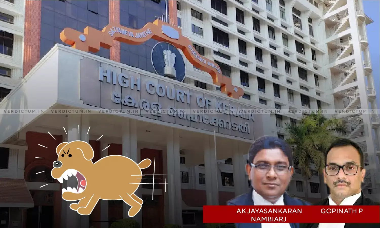 State Obliged To Protect Citizens From Ferocious Dogs, Citizens Should Not Inflict Unnecessary Harm On Dogs: Kerala HC State Obliged To Protect Citizens From Ferocious Dogs, Citizens Should Not Inflict Unnecessary Harm On Dogs: Kerala HC