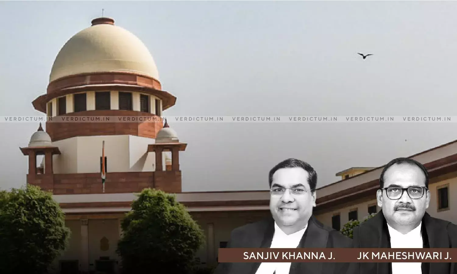 Supreme Court Refuses To Give Custody Of Seized Cattle To Owner In Illegal Cattle Transportation Case Supreme Court Refuses To Give Custody Of Seized Cattle To Owner In Illegal Cattle Transportation Case