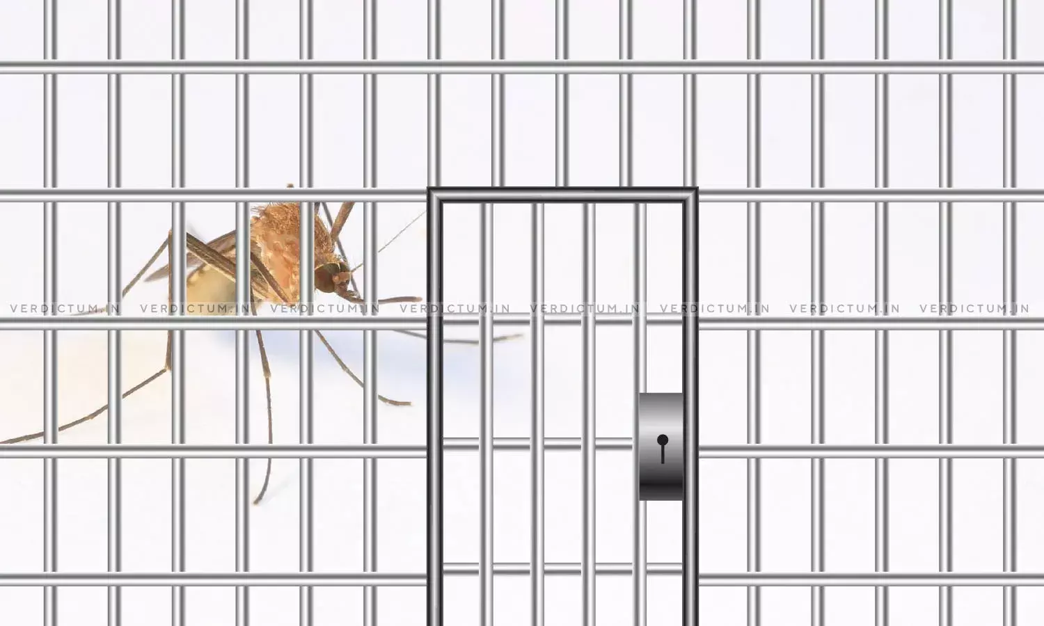 Undertrial Gangster Brings Bottle Filled With Dead Mosquitoes To Court, Court Rejects His Plea For Mosquito Net In Jail Undertrial Gangster Brings Bottle Filled With Dead Mosquitoes To Court, Court Rejects His Plea For Mosquito Net In Jail