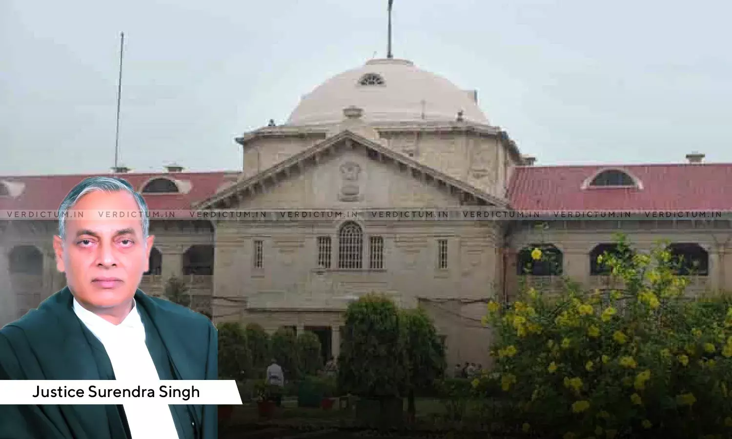 Allahabad HC Grants Bail To A Person Accused Of Putting Remains Of Dead Cow Progeny In A Shiv Temple Allahabad HC Grants Bail To A Person Accused Of Putting Remains Of Dead Cow Progeny In A Shiv Temple