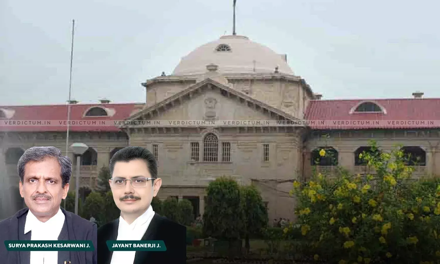 Allahabad HC Dismisses Plea Of Paramedical Council Seeking Legitimacy To Exercise Function Within Domain Of Legislative Power Allahabad HC Dismisses Plea Of Paramedical Council Seeking Legitimacy To Exercise Function Within Domain Of Legislative Power