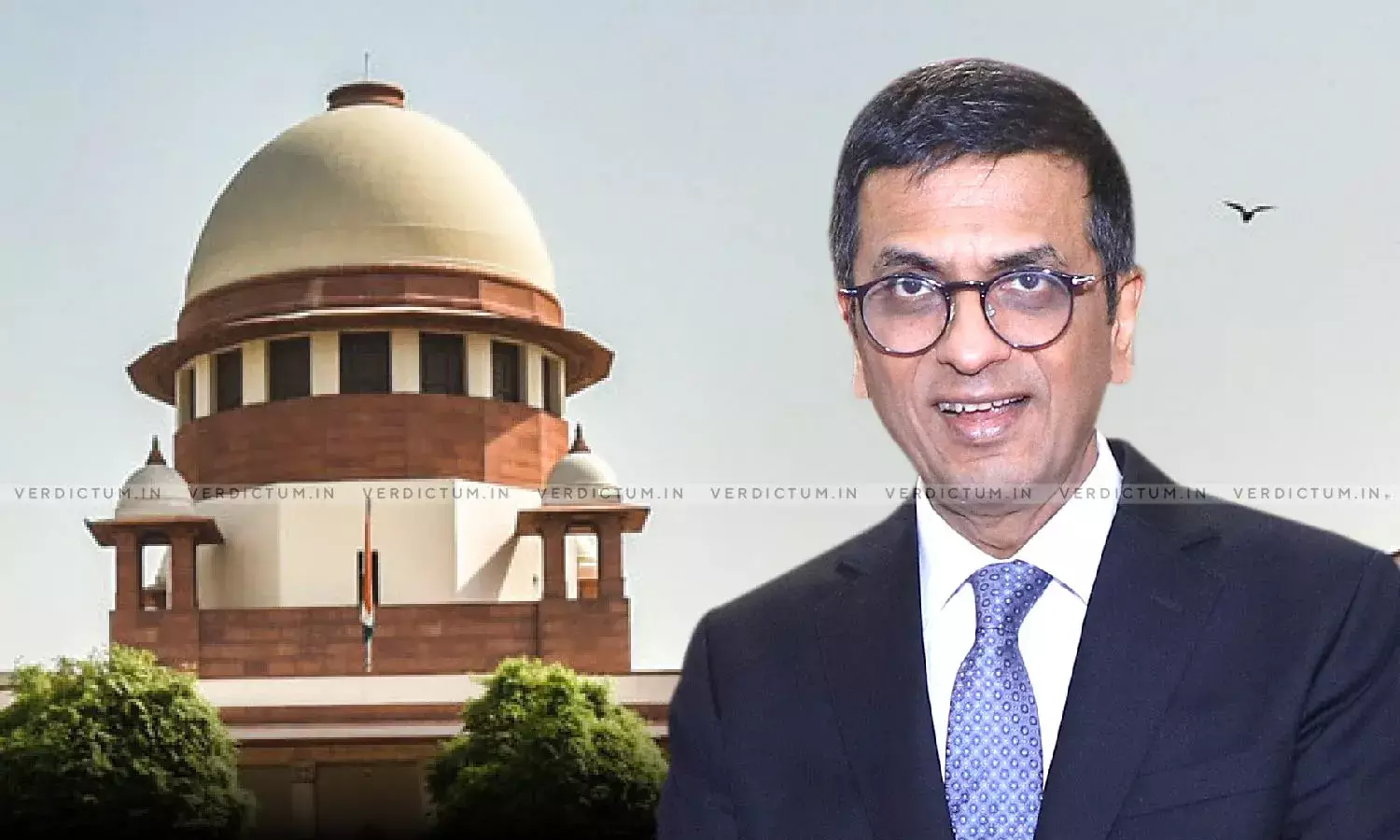 There Is No Absolute Concept Of A Man Or Woman At All: Chief Justice Chandrachud, Read Exchange With SG There Is No Absolute Concept Of A Man Or Woman At All: Chief Justice Chandrachud, Read Exchange With SG