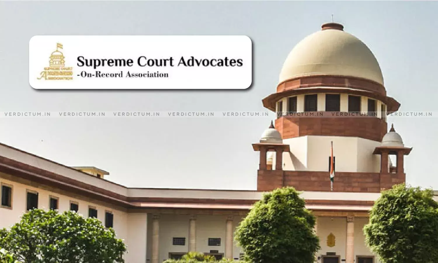SCAORA Condemns Murder Of Advocate Virender Narwal, Demands Enactment Of Advocates Protection Act SCAORA Condemns Murder Of Advocate Virender Narwal, Demands Enactment Of Advocates Protection Act