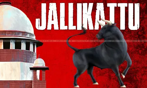 Supreme Court Upholds Jallikattu: Holds That Tamil Nadu Amendment Act Is In Compliance With Constitutional Principles Supreme Court Upholds Jallikattu: Holds That Tamil Nadu Amendment Act Is In Compliance With Constitutional Principles