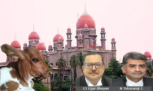 Telangana High Court Directs State To Ensure That No Illegal Cow Slaughter Happens On Bakrid Telangana High Court Directs State To Ensure That No Illegal Cow Slaughter Happens On Bakrid