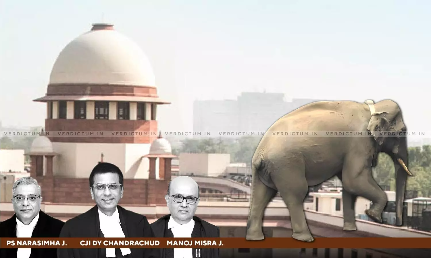 We Are Not Going To Start Monitoring Tuskers From Here: SC While Dismissing PIL Against Translocation Of Kerala Elephant Arikomban We Are Not Going To Start Monitoring Tuskers From Here: SC While Dismissing PIL Against Translocation Of Kerala Elephant Arikomban