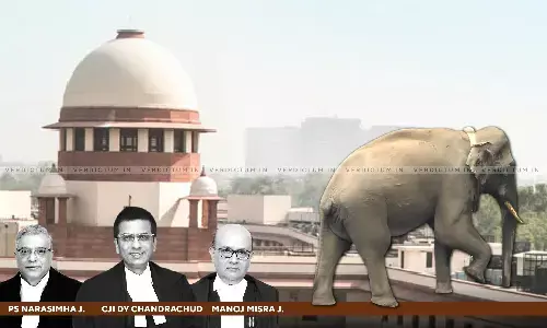 We Are Not Going To Start Monitoring Tuskers From Here: SC While Dismissing PIL Against Translocation Of Kerala Elephant Arikomban We Are Not Going To Start Monitoring Tuskers From Here: SC While Dismissing PIL Against Translocation Of Kerala Elephant Arikomban