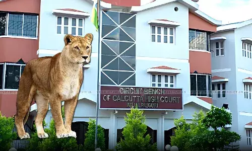 Will You Name Your Pet Dog After A Hindu God Or Muslim Prophet: Calcutta HC Asks AAG During Hearing Of VHPs Plea Against Naming Of Lions Will You Name Your Pet Dog After A Hindu God Or Muslim Prophet: Calcutta HC Asks AAG During Hearing Of VHPs Plea Against Naming Of Lions