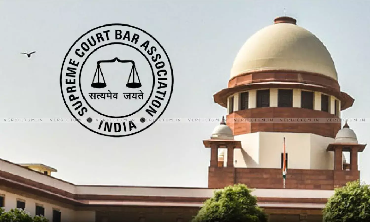 Bar Association Should Be Replica Of Constitutionalism: Supreme Court Clarifies That 1/3rd Reservation For Women In SCBA Executive Committee Is On ‘Experimental Basis’ Bar Association Should Be Replica Of Constitutionalism: Supreme Court Clarifies That 1/3rd Reservation For Women In SCBA Executive Committee Is On ‘Experimental Basis’