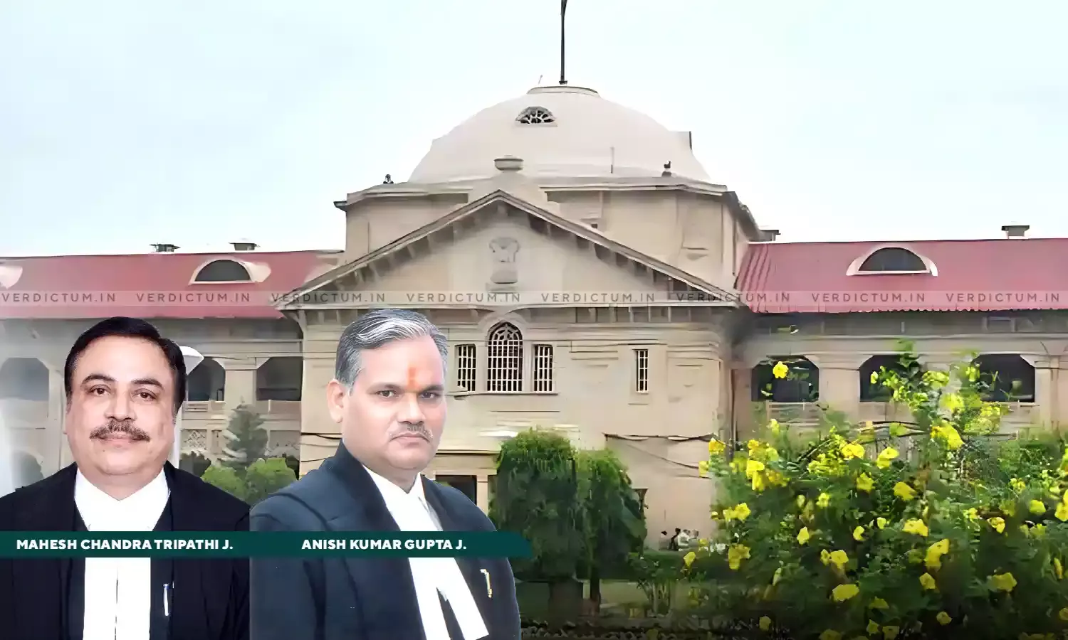 Appointment Under Compassionate Scheme Is Not Meant To Be An Alternate Source Of Recruitment: Allahabad High Court Appointment Under Compassionate Scheme Is Not Meant To Be An Alternate Source Of Recruitment: Allahabad High Court