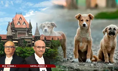 Difficult To Decide Disputed Question Of Facts: Bombay HC Directs MCGM To Constitute Animal Welfare Committee To Resolve Stray Dog Feeding Issue In Society Difficult To Decide Disputed Question Of Facts: Bombay HC Directs MCGM To Constitute Animal Welfare Committee To Resolve Stray Dog Feeding Issue In Society
