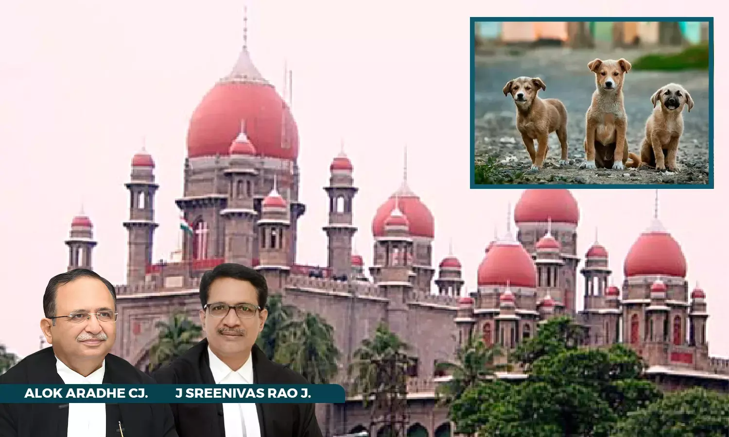 Stray Dog Menace: Telangana HC Directs GHMC To File Affidavit Showing Compliance With Animal Birth Control Rules Stray Dog Menace: Telangana HC Directs GHMC To File Affidavit Showing Compliance With Animal Birth Control Rules