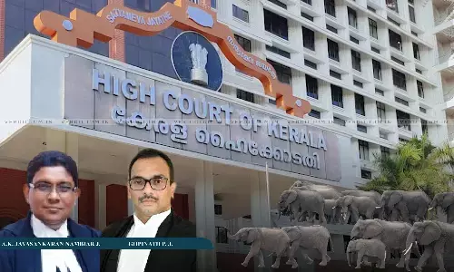 We Dont Believe That There Is Any Essential Religious Practice That Mandates The Use Of Elephants In Festivals: Kerala HC Issues Guidelines For Welfare Of Captive Elephants We Dont Believe That There Is Any Essential Religious Practice That Mandates The Use Of Elephants In Festivals: Kerala HC Issues Guidelines For Welfare Of Captive Elephants