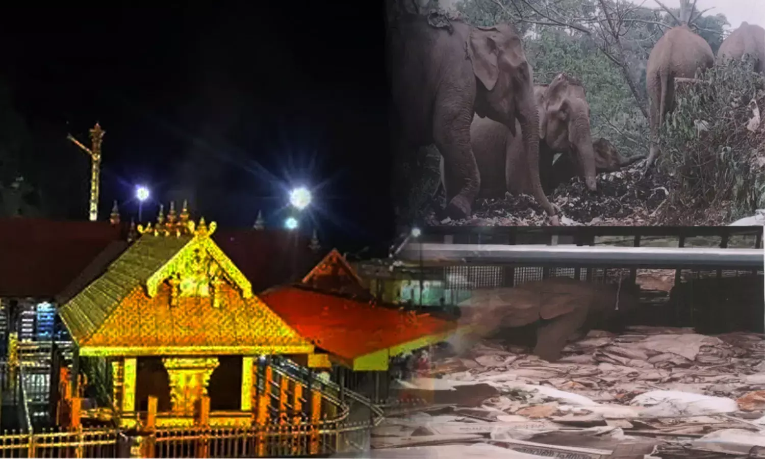 Kerala High Court Directs Action Against Dumping Of Plastic Waste At Sabarimala Which Led To Deaths Of Elephants & One Deer Kerala High Court Directs Action Against Dumping Of Plastic Waste At Sabarimala Which Led To Deaths Of Elephants & One Deer