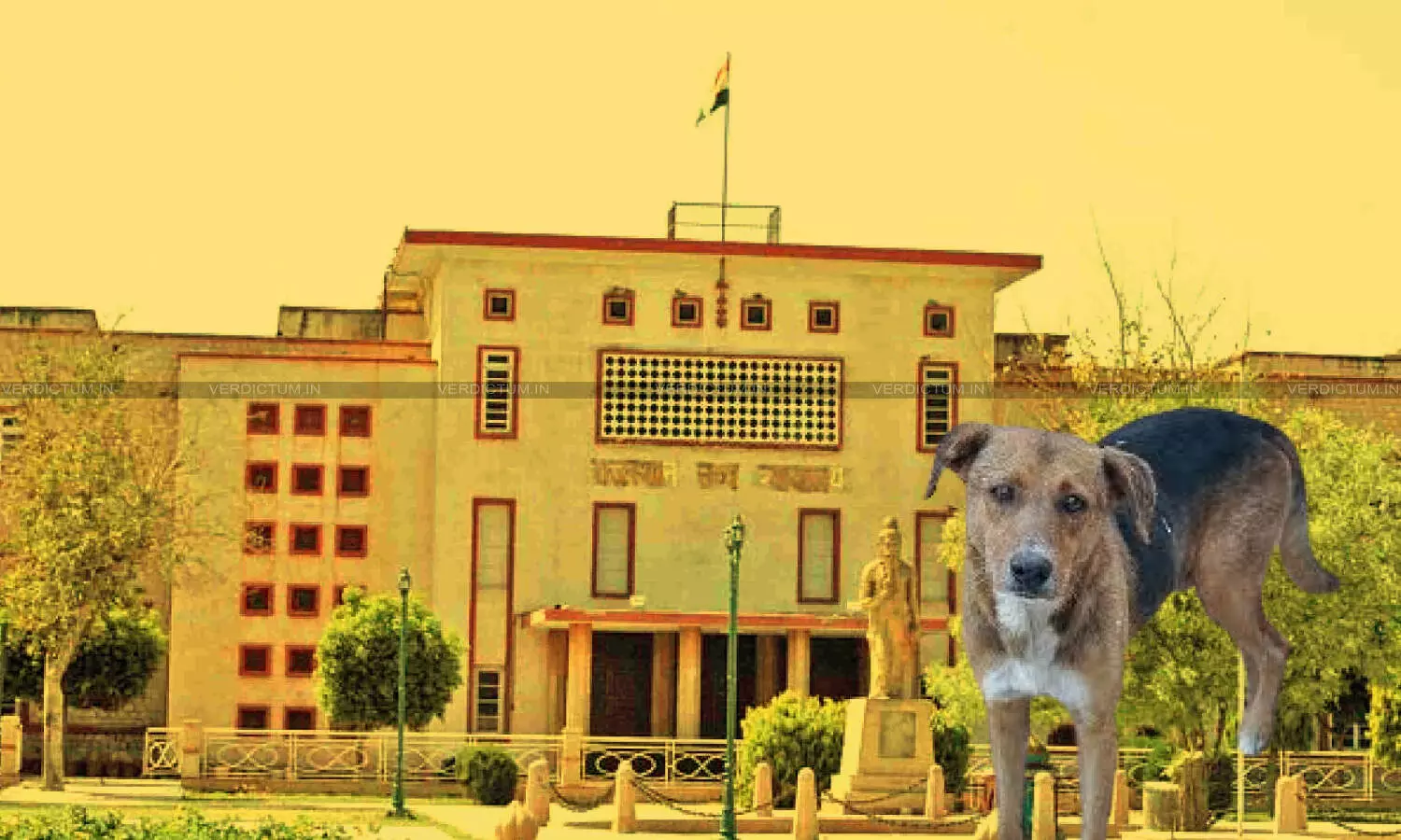 Rajasthan High Court Takes Suo Motu Cognizance Of Stray Dog Menace On Public Roads
