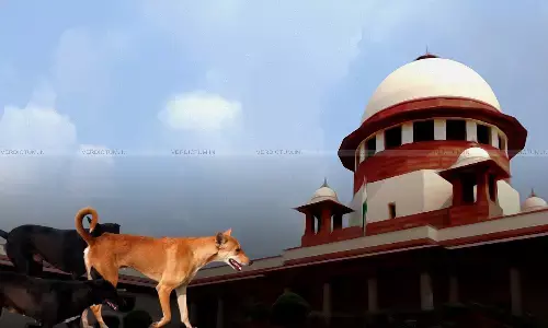 Supreme Court Refuses Urgent Hearing Of Plea Challenging MCD Notification On Picking Of Stray Dogs Supreme Court Refuses Urgent Hearing Of Plea Challenging MCD Notification On Picking Of Stray Dogs