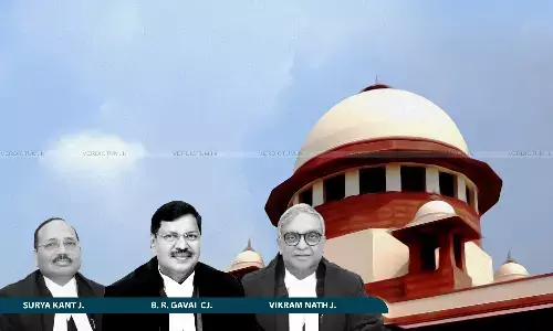 CJI B.R. Gavai, Justice Surya Kant, Justice Vikram Nath, Supreme Court CJI B.R. Gavai, Justice Surya Kant, Justice Vikram Nath, Supreme Court