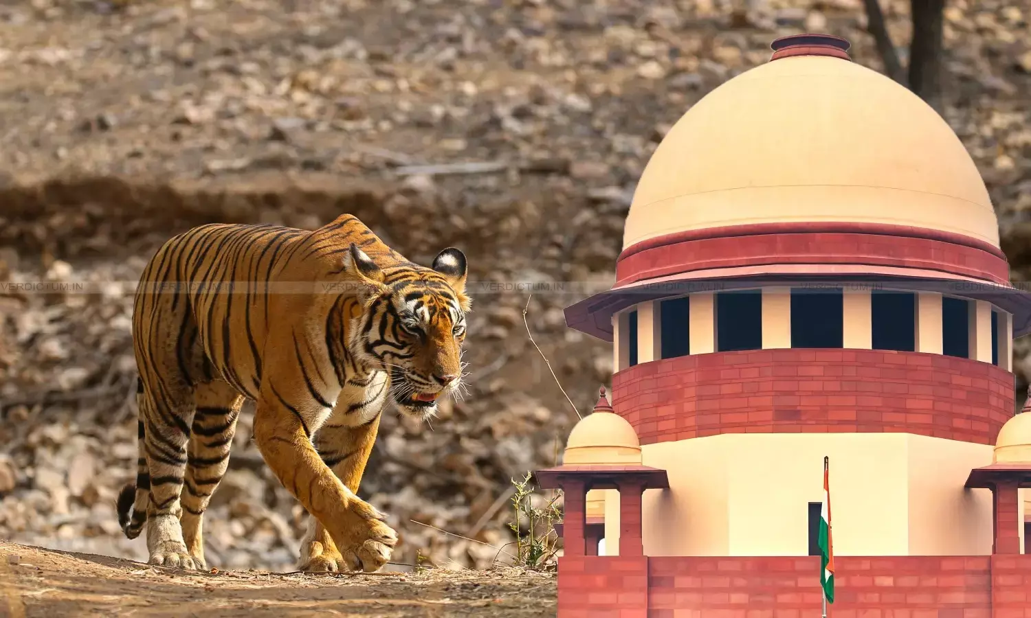Supreme Court, Tiger Reserve Supreme Court, Tiger Reserve