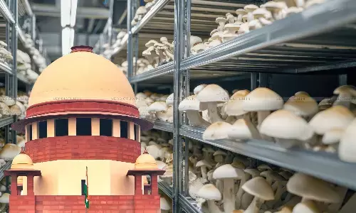 Supreme Court, Aluminium shelves for mushroom growing
