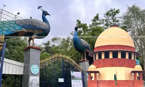 Supreme Court Restrains Authorities From Cutting Trees In Eco-Sensitive Zone Of Kasu Brahmananda Reddy National Park Supreme Court Restrains Authorities From Cutting Trees In Eco-Sensitive Zone Of Kasu Brahmananda Reddy National Park