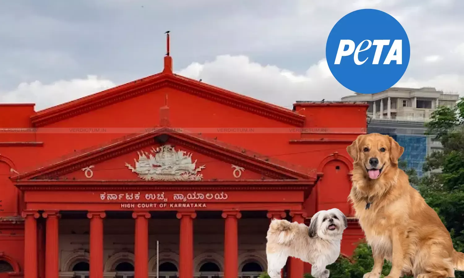 Protection Of Animal Life Is Not An Act Of Charity But An Affirmation Of Constitutional Morality: Karnataka High Court Directs PETA To Retain Custody Of Sexually Abused Dogs Protection Of Animal Life Is Not An Act Of Charity But An Affirmation Of Constitutional Morality: Karnataka High Court Directs PETA To Retain Custody Of Sexually Abused Dogs